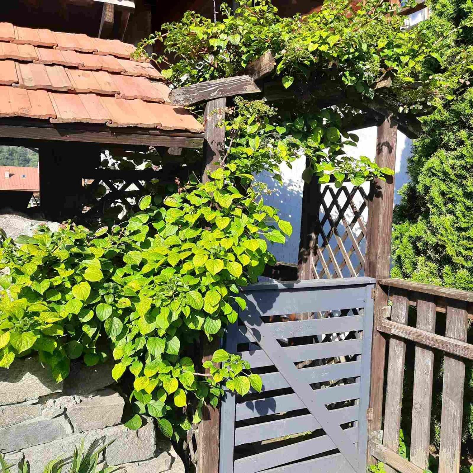 Country house Iryna ірина *