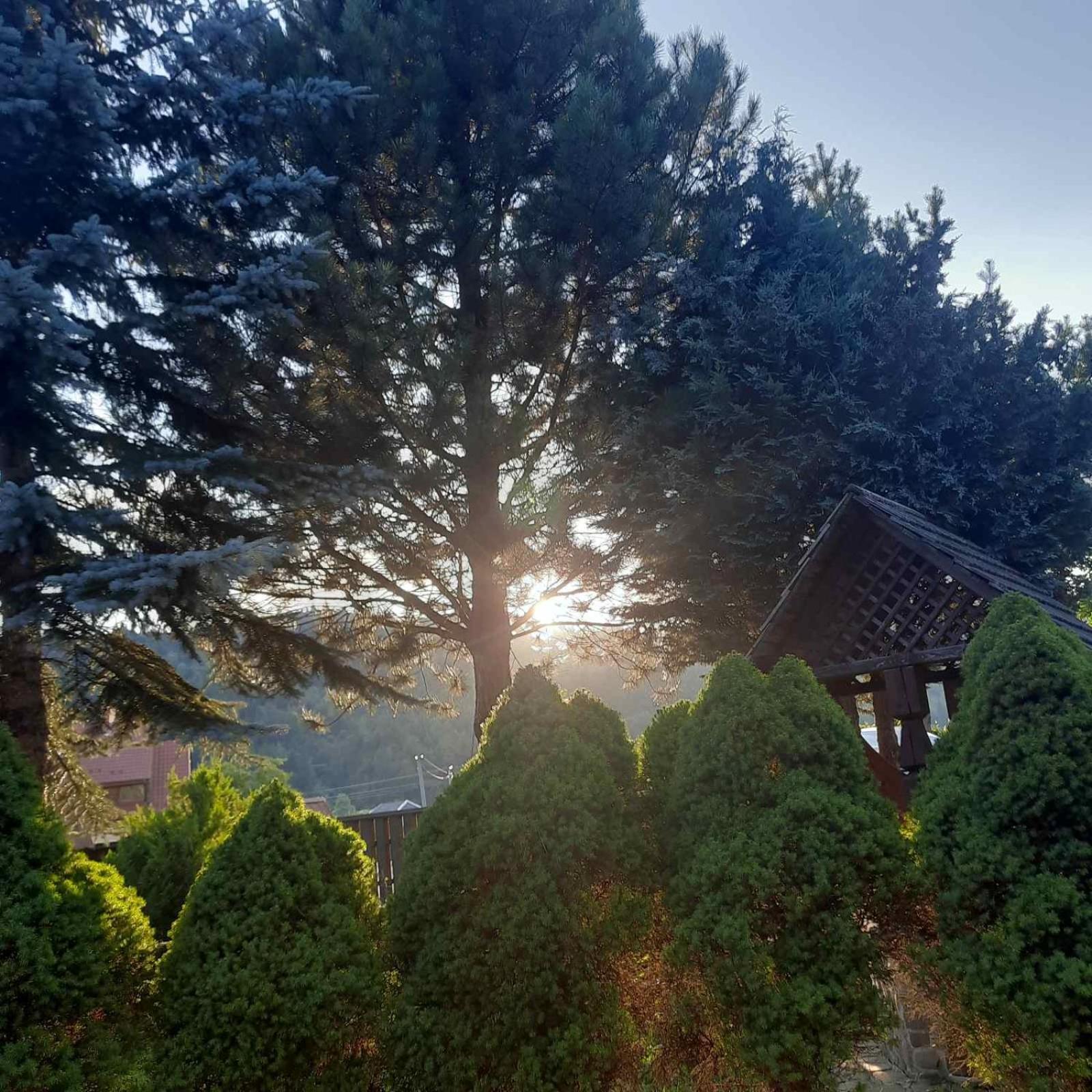 Iryna ірина Country house